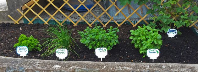 Herb garden